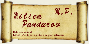 Milica Pandurov vizit kartica